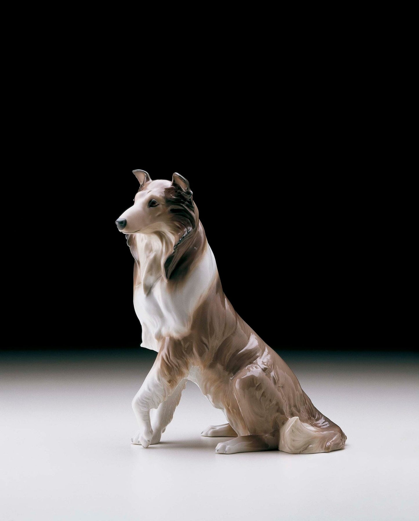 01006455 | COLLIE