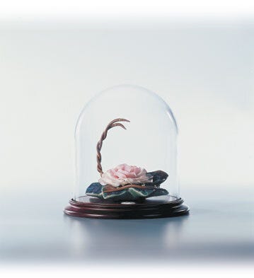 01011842 | Armonía en rosa