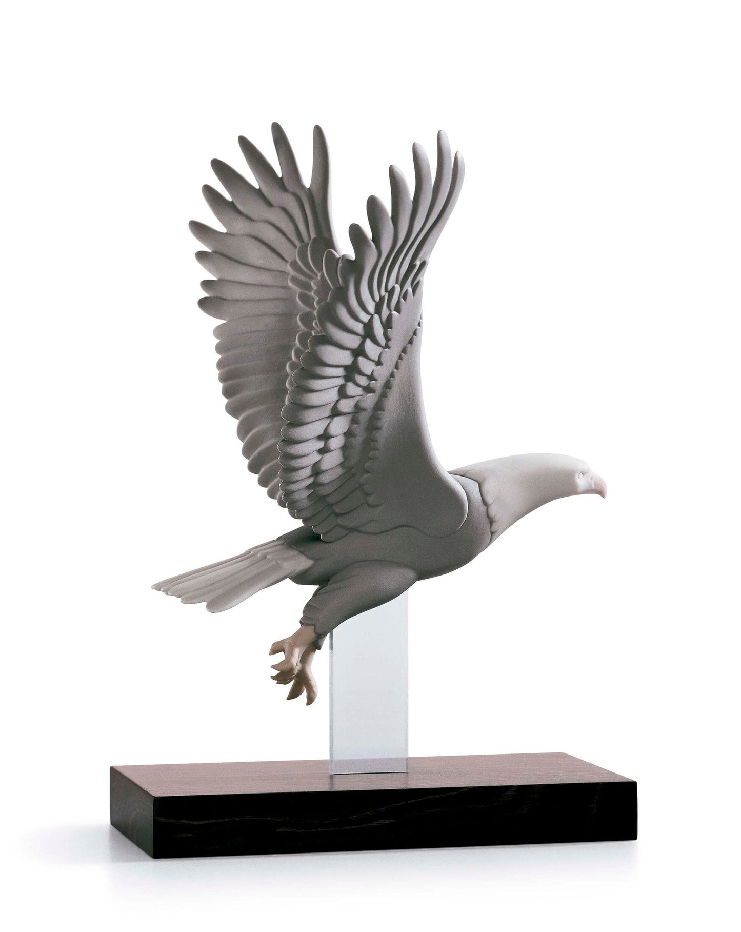 01016960 | VUELO