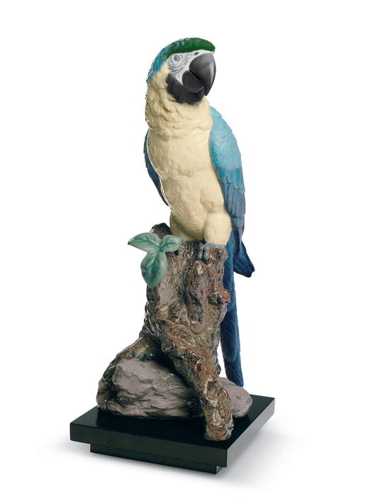 01008388 | Escultura pájaro Guacamayo