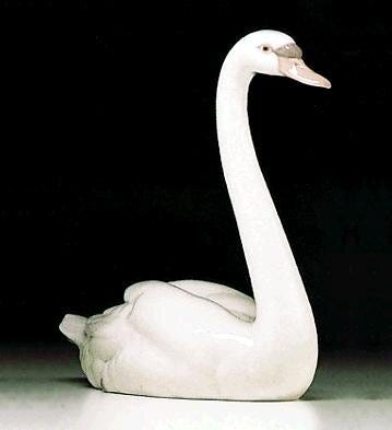 01005230 | CISNE GALLARDO Brillo