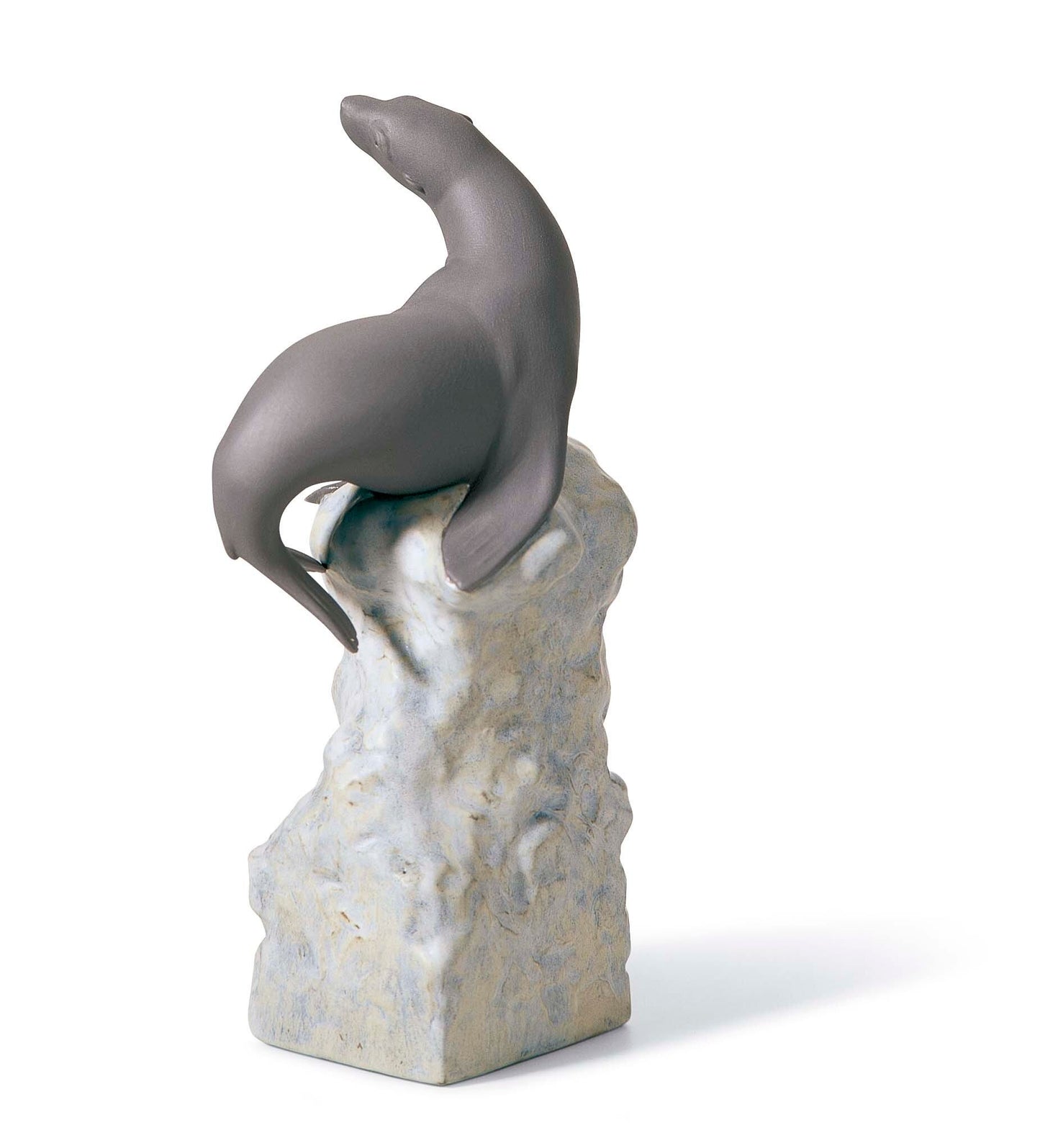 01018202 | EQUILIBRIO - FOCA I
