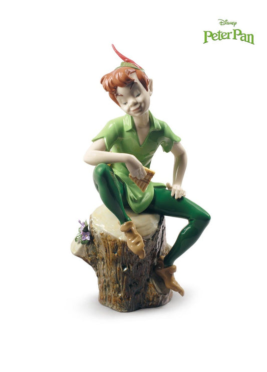 01009328 | Figura Peter Pan