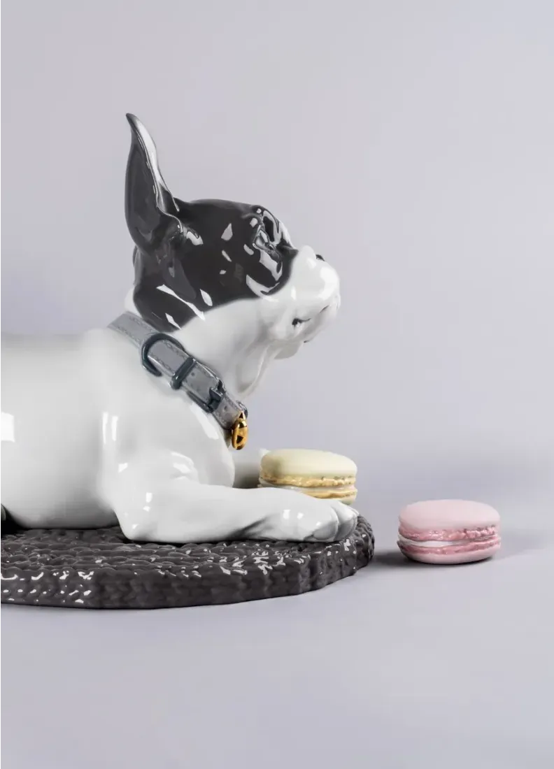 01009398 | Figura perro Bulldog francés con macarons