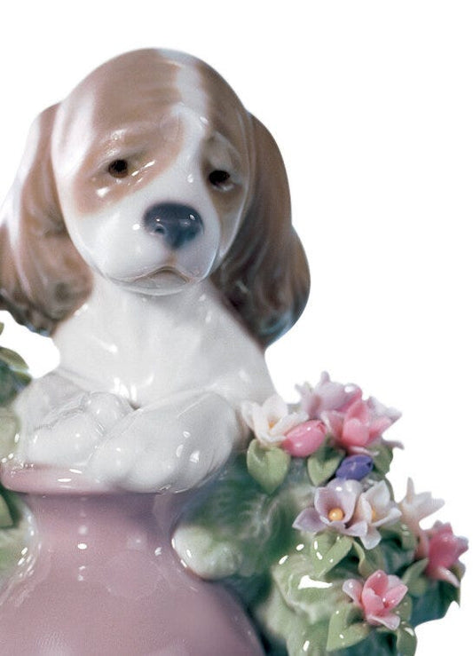 01006574 | Figura Perrito travieso