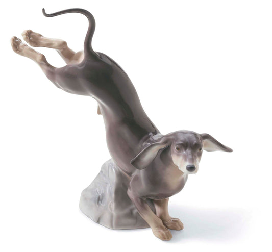 01008317 | Dachshund