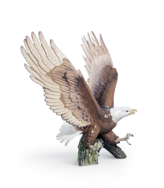 01005863 | Águila a la caza