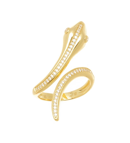 Anillo de plata elegante