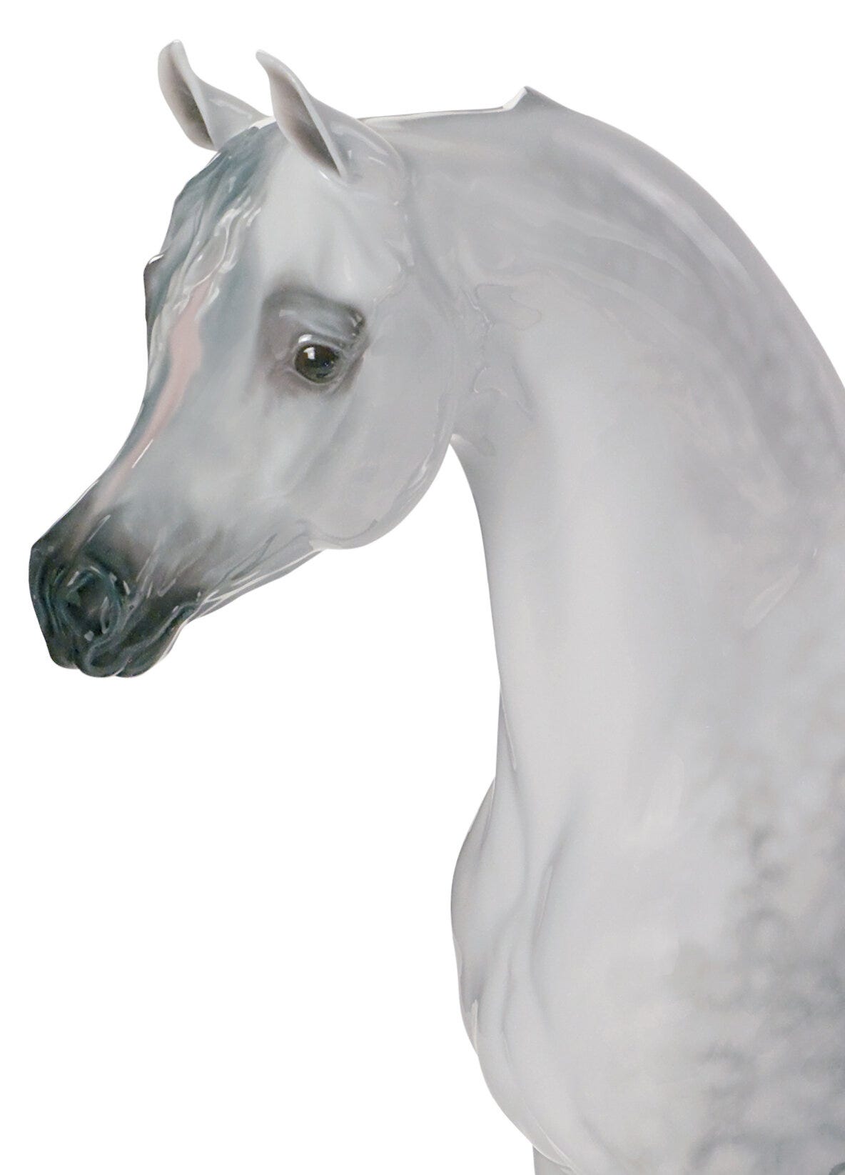 01008343 | Figura caballo Pura raza árabe. Serie limitada