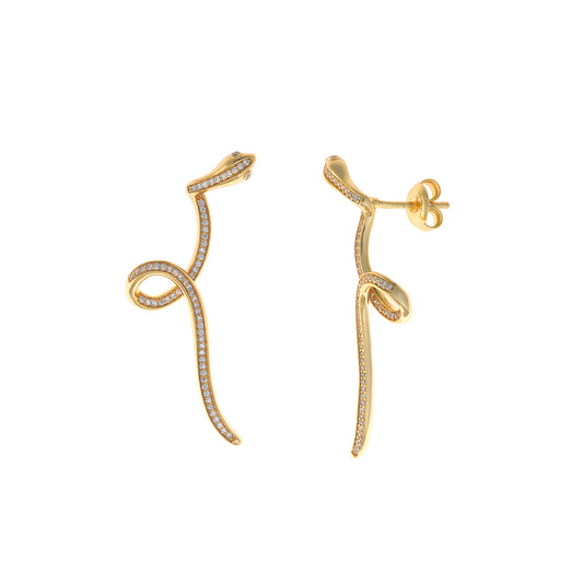 Pendientes elegantes