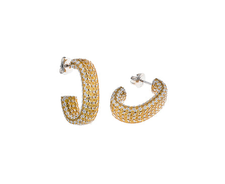 Pendientes elegantes