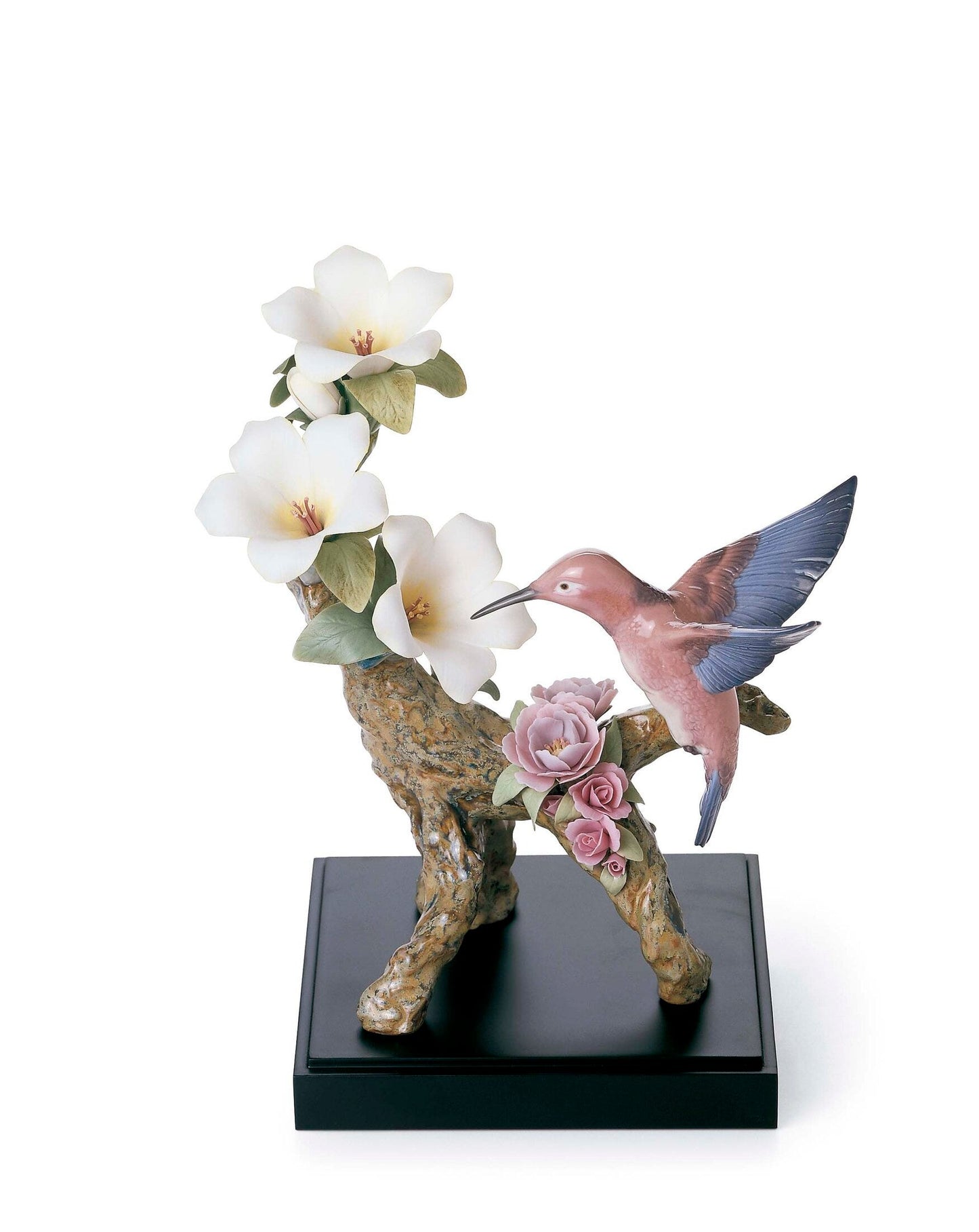 01008117 | Colibrí