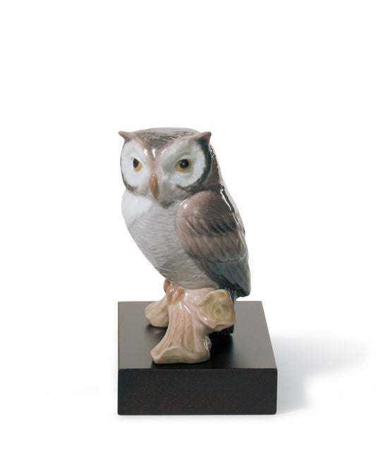 01008035 | Figura Búho de la suerte