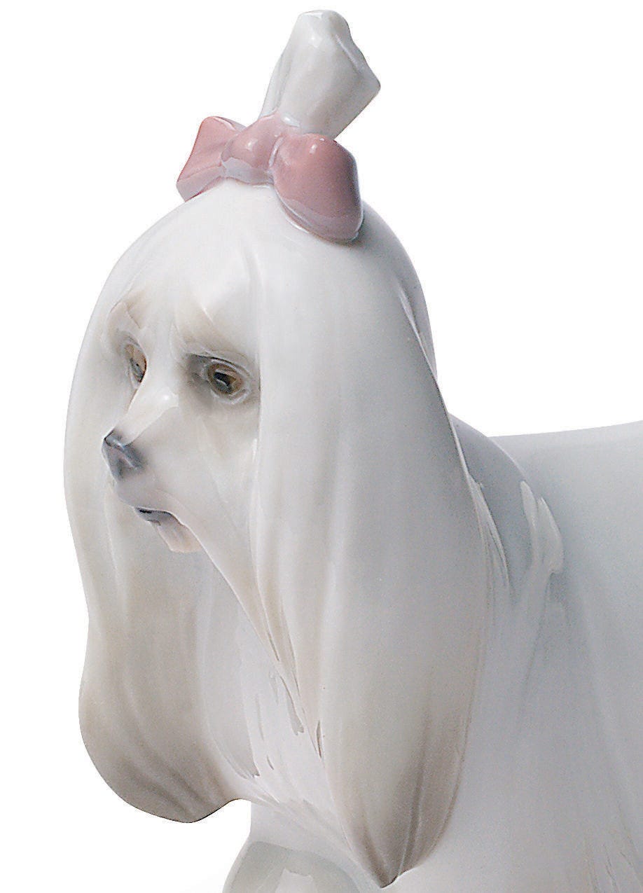 01008368 | Figura perro Maltés