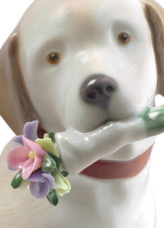 01009256 | Figura perro Este ramo es para ti