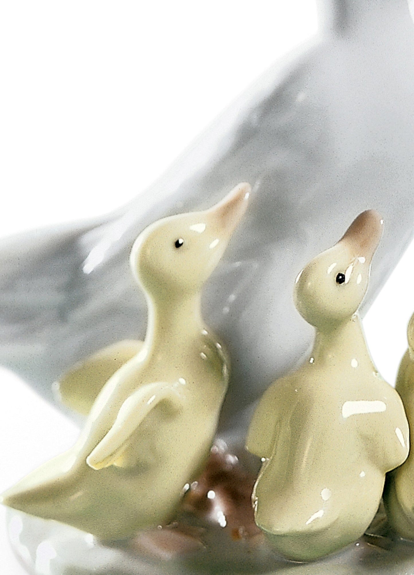 01001439 | Figura Caracol en peligro