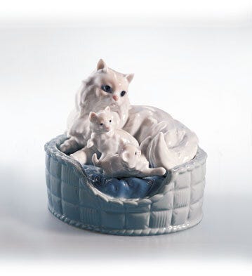 01006652 | GATOS PERSAS