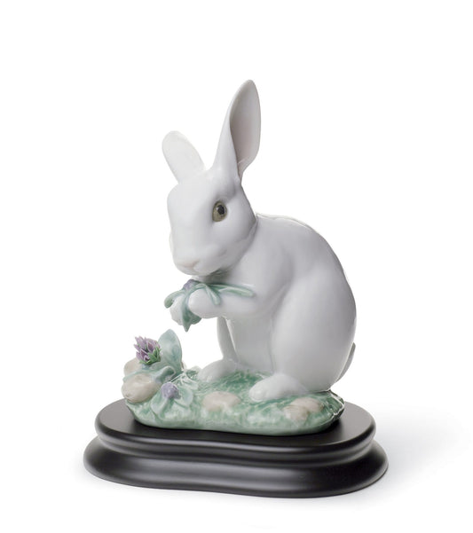 01008517 | Figura El conejo