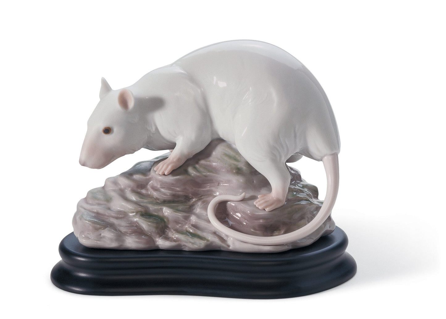 01008289 | Figura La Rata