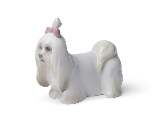 01008368 | Figura perro Maltés