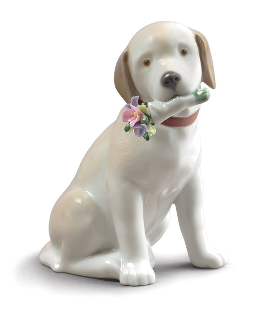 01009256 | Figura perro Este ramo es para ti