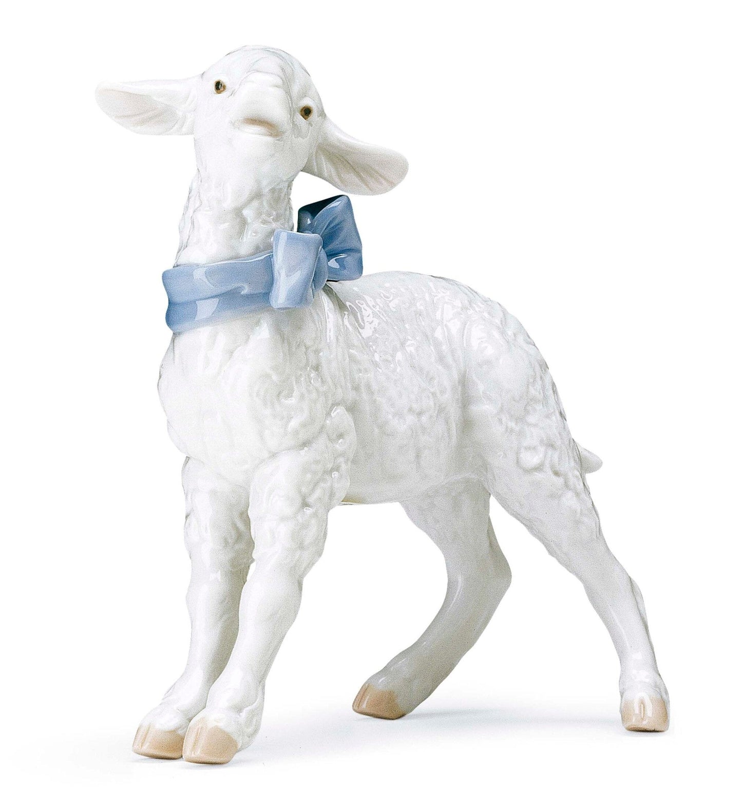 01006546 | CORDERITO BALANDO