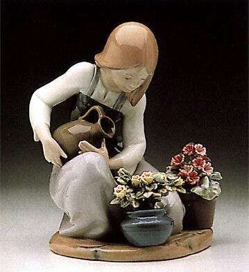 01001376 | REGANDO PLANTAS