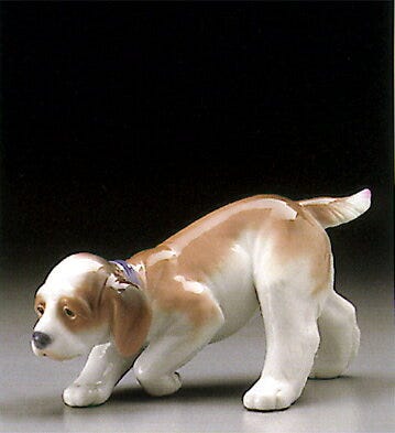 01006212 | PERRITO DE MUESTRA