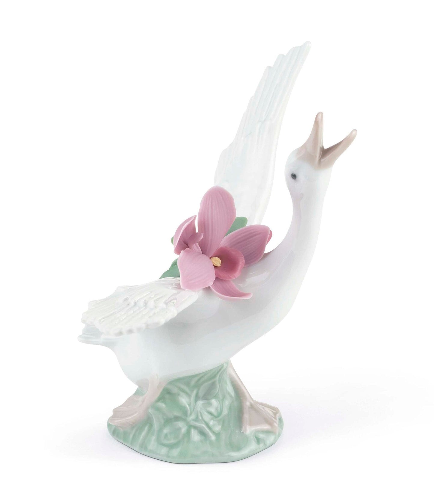 01008493 | Pato corriendo con orquidea rosa