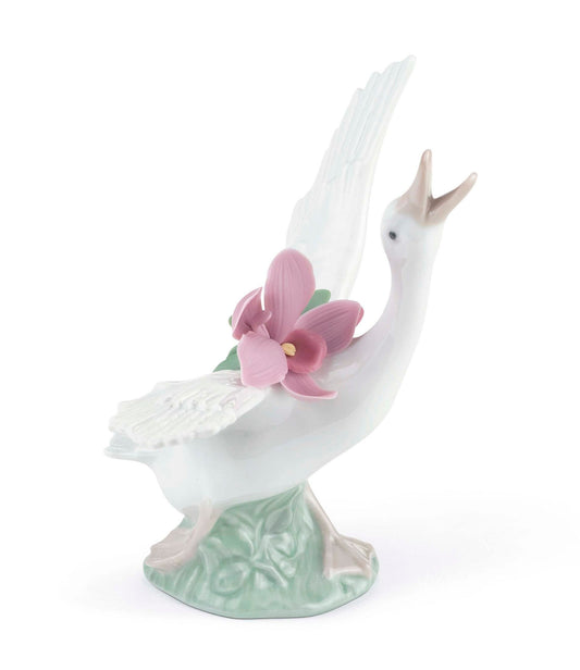 01008493 | Pato corriendo con orquidea rosa