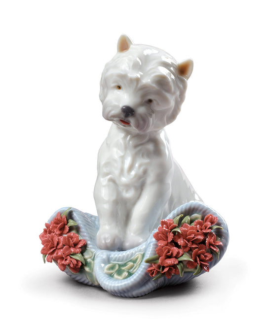 01008065 | Figura perro Carácter juguetón con claveles
