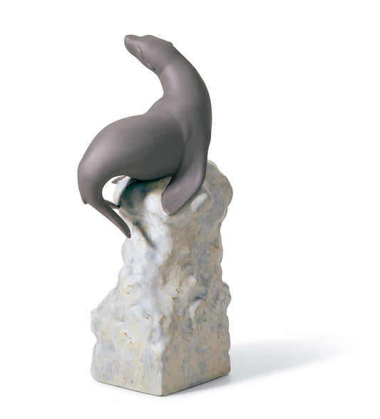 01018202 | EQUILIBRIO - FOCA I