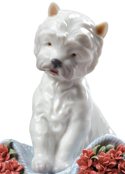 01008065 | Figura perro Carácter juguetón con claveles