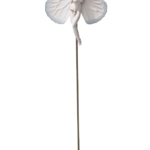 DANAUS PLEXIPPUS – Santacreu Store
