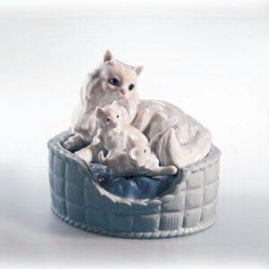 GATOS PERSAS – Santacreu Store