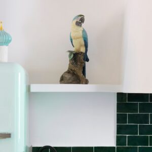 Escultura pájaro Guacamayo – Santacreu Store