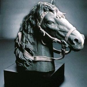Caballo Tipo 293 – Santacreu Store
