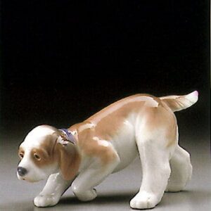 PERRITO DE MUESTRA – Santacreu Store