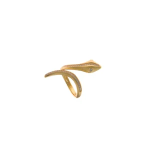 Anillo Serpiente