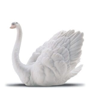 CISNE GALANTE Mate – Santacreu Store